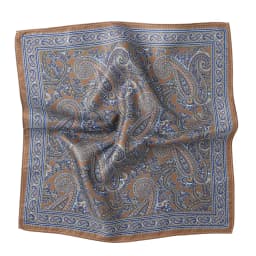 Tailor Smith Mens Hanky Pocket Squared Handkerchief Polyester Paisley Floral Handkerchief Square Scarf Wedding Party For Gift