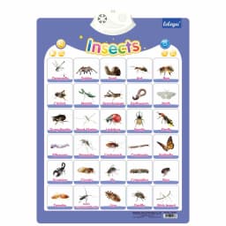 Sports Wall Chart Talking Poster Interactive Toddler Alphabet Learning Best Educational Gift for Boys Girls Ages Letter Sounds