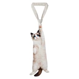 3D Fish Fish-shaped Men's Tie Animal Pattern Lifelike Kitten Necktie Satin Fabric Novelty Creative Neck Tie For Party Wedding