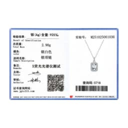 MODIAN 1CT D Color Emerald Cut Moissanite Halo Necklace 925 Sterling Silver Rectangle Wedding Pendant Necklace For Women Jewelry