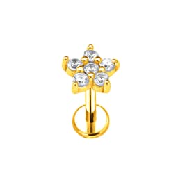ASTM F136 G23 Titanium Flower Moon Heart Threadless Piercing Leaf Drop Pin Push in Lip Stud Daith Conch Earring 16G 18G 20G