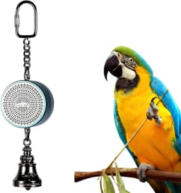 Parrot Toys to Teaching Training Bird Talking Coach Interactive Recording Playback Retell Electronic Voice Chewing Tearing Bell