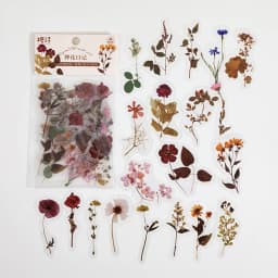 40 Pcs/pack Assorted Plant Flower Mushroom Ginkgo Pet Decorative Diary Stickers Sticky Notes for Scrapbooking Planner Stationery