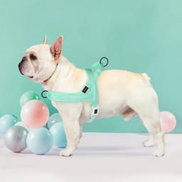 Nylon Dog Harness No Pull Dog Puppy Harnesses Soft Padded Pet Vest Adjustable for Small Medium Large Dog Chihuahua Pug Pitbull