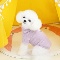 Winter Warm Dog Sweater for Small Dogs Plush Dog Clothes Soft Puppy Coat Jacket Chihuahua Teddy Bicon Puppy Clothes Dog Supplies