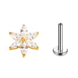 F136 Titanium Six-Petaled Flower Lip Piercing 16G Zirconia Labret Tragus Helix Cartilage Nose Jewelry Earrings