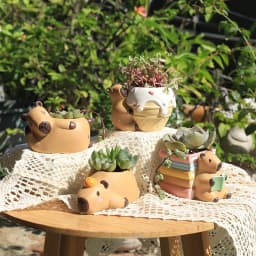 Cute Capybara Small Plant Pot Resin Succulent Planter for Home Office Desk Mini Ornament Fairy Garden Flowerpot Decoration