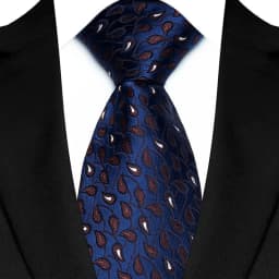 Luxury 8CM Mens Necktie Brown Blue Color Dot Stripes Solid Tie For Man Groom Jacquard Woven Neck Tie For Business Wedding Party