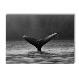 Black White Sea Beach Whale Lighthouse Wall Art Poster And Print Landscape Canvas Nordic Art Painting Modern Pictures Home Decor