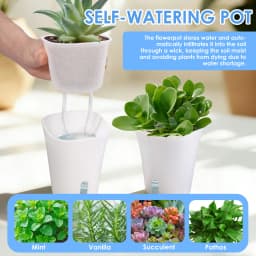 10 Pcs Self Watering Planter Lazy Hydroponic Flower Pot Plastic Translucent Self-absorbent Flower Pot Desktop Decoration