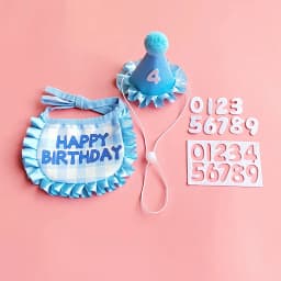 Pet Birthday Party Hat Bib Set Cute Cat Dog Birthday Celebration Scarf Dress Up Kitten Puppy Costumes Gift Pet Accessories