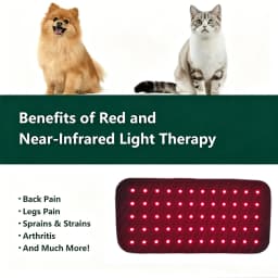 Pet Care Home Use Infrared Red Light Therapy Belt Wrap for Dogs Cats