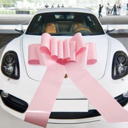 Big Car Bow 30Inch Giant Car Bow for Birthday Christmas Wedding Reception Surprise Party Large Gift Wrapping Bows Huge Present