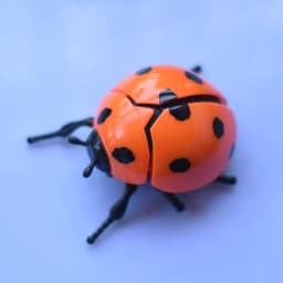 Wind Up Ladybird Bionic Toys Creative Prankster Animated Insect Toy Model Children's Plastic Animals Scarab Beetle Wind Up Toy