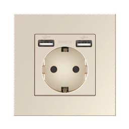 NYWP Wall USB Plug with EU Standard Double Plug 16A Wall Embedded AC 110V-250V New Style Panel Room Socket