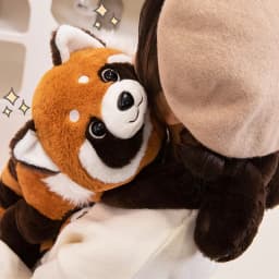 30/65cm Cute Long Arm Stuffed Animal Arm Weighted Soft Plush Pillow Raccoon Koala Bear Sloth Dinosaur Gift for Boys and Girls