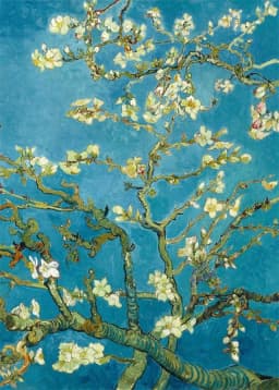 Vincent Van Gogh Collection Paintings Canvas Prints Posters Impressionism Artworks Wall Art Pictures for Home Living Room Decor