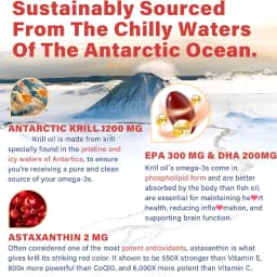 Antarctic Krill Oil 1200 mg with Omega-3 Supplement, EPA & DHA, Astaxanthin & Phospholipids for Heart, Joint, Brain Antioxidant