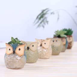 Flower Pots Creative Ceramic Mini Flowerpot Succulent Planter Cute Owl Plants Flower   Pot With Hole Garden Home Office Decor