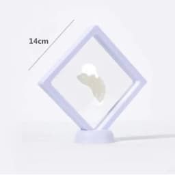1 Set Suspended Floating Display Case Black White Plastic 3D Earring Coins Gems Ring Jewelry Exhibition Stand Holder Box