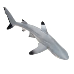 Toymany Simulation Blacktip Reef Shark Ocean Animal Model Toy Mini Figures Dolls Action Figurines Toys for Children Gift
