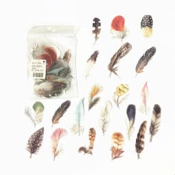 40 Pcs/pack Assorted Plant Flower Mushroom Ginkgo Pet Decorative Diary Stickers Sticky Notes for Scrapbooking Planner Stationery