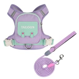 Cute Backpack Dog Harness with Leash, Reflective Soft Pet Vest for Small Medium Dogs Cats, Adjustable Walking Harness Set