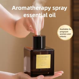 500ml Super - Large Capacity Automatic Spray Reed Diffuser or Bedroom, Living Room, Indoor Spaces and Hotels, Long Lasting Fragr