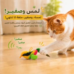 Interactive Hanging Cat Toy Bird Teaser with Elastic Rope Sound Catnip Indoor Wall-Mounted Toy for Cats Kittens Chasing Play