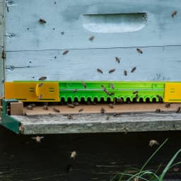 6pcs Bee Hive Entrance Reducer, Adjustable Plastic Beehive Entrance Guard, Dual Slider Door Pest Control & Swarm Beekeeping Tool