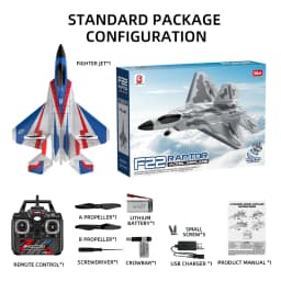 BM31 F22 Brushless RC Fighter 2.4G 4CH Remote Control Airplane EPP Foam Electric Model 490MM Biger Glider Toys for Adults