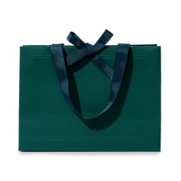 Oirlv 10Pcs Green Gift Bags Ribbon Handle Customizable Jewelry Shopping Bag Reusable Gift Packaging Bags Paper Gift Bags Packing