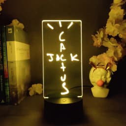 Cactus Jack 3d Illusion Lamp Cool Stuff to Room Decoration Lovely Birthday Gift for Fans Friends Bedroom Standby Nightlight