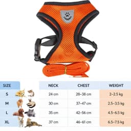 Cat Leash and Harness Cat Tent Kitten Harness Strap for Cats Neck Belt Anti Escape Pets Vest Harness Dog Neck Belt MBD01