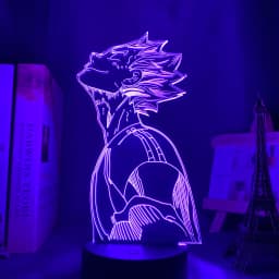 3d Night Light Anime Haikyu Bokuto Light for Bedroom Decor Child Kids Birthday Gift Manga Gadget Kotaro Bokuto Lamp Haikyuu