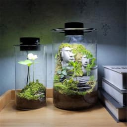 Dimmable USB Terrarium Plant Growing Lamp with Timer for Vases,Indoor Plant Growth, Succulent, Miniature Gardening Landscape