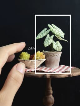 1:6 Miniature Plant Set, Handmade Realistic Fern Maple Caladium Potted,Exclusive Custom Sizes BJD Dollhouse Garden Bjd Decor Art