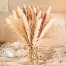 60-100PCS Natural Dried Pampas Grass Bouquet Boho Home Nordic Decor Bouquet Phragmites Dried Flowers Bouquet Wedding Decor