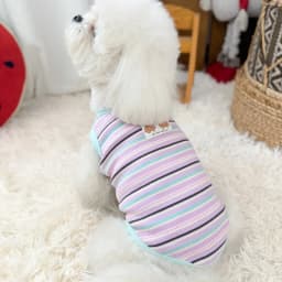 Thin Cooling Dog Dress Striped Dog Clothes Summer Puppy Skirts Girls Dog Costume Chihuahua Clothing Bichon Dog Supplies 2026 New