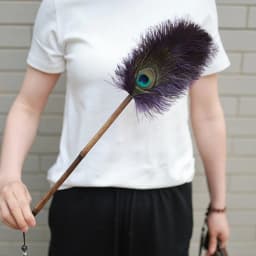 Portable Peacock Ostrich Feathers Duster Brush Handle Anti-static Cleaning Tools Household Dust Sweeping Brushs Multi-function