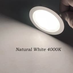 Ultra-Slim Mini LED Downlight 3W/5W Dimmable 12V/24V DC for RV Kitchens And Ceilings Recessed Spotlights 3000K 4000K 6000K 90RA