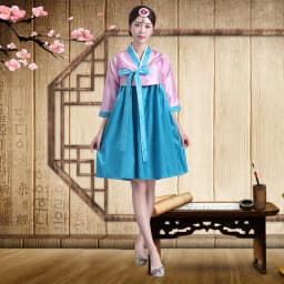 Embroidered Short Korean Traditional Costume Women's Dance Performance Clothes  Ethnic Group Large Long Jin Outfits