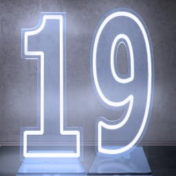 Extra-Large LED Neon Numbers Sign 76cm/100cm Stand up & Wall Mounted for Birthday Wedding Celebration Party Decor