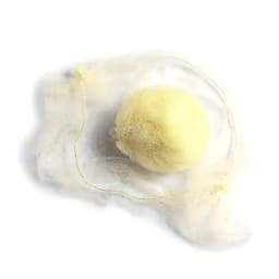 100PCS Premium Nylon Invisible Hair Nets for Ballet Dance Bun, Hair Weaving & Hair Extension Making Cap