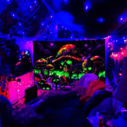 VIKAMA Psychedelic Skull Mushroom Tapestry Gradient Music Party Room Psychedelic Theme Unique Living Room Decor
