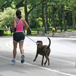 210CM/300CM Dog Leash Multi-functional Adjustable P-shape Chain Traction Rope Leads for Running Walking Free Hands Free Leashes
