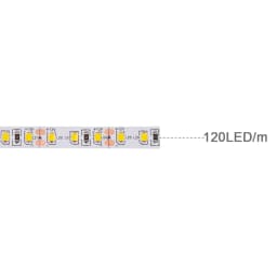 12V 24V 5m 10m 2835 LED Strip Light Flexible Led Tape Lamp Hight Brightness 120 180 LEDs Lighting Home Decoration 13 Colors