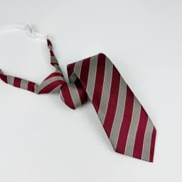 Polyester JK Necktie Simple Plaid Neckwear Striped Neck Tie Clothes Accessories Cravat Uniform Bow Tie Women Men