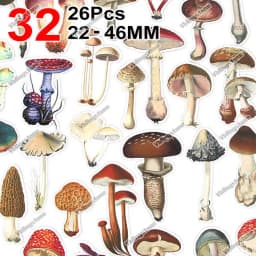 Vintage Conch Shell Sticker Label Scrapbooking Marine Life Stationery Stickers For Children Decorative Diary Album
