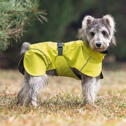 Pet Dog Waterproof Raincoat Outdoor Small Medium Size Dog Universal Teddy Bichon Puppy Clothes Pet Apparel Casual Raincoat